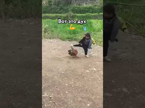 Немного юмора#юмор #приколы #рекомендации #видео #дети #осень #shorts #2024 #птицы #животные #август