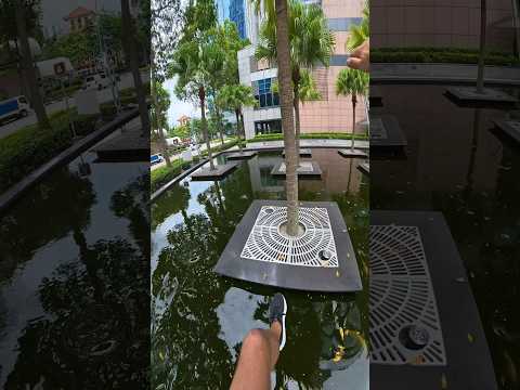 Jumping over Koi 🐠