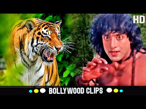 Tarzan और बाघ की खतरनाक लड़ाई | Jungle Love का डरावना सीन | Tarzan Vs Tiger Action In Jungle
