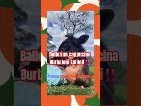 Ballerina cappucina Burbaloni Luliloli‼️#anomali #tungtungsahur #brainrot #meme #bismillahfyp 