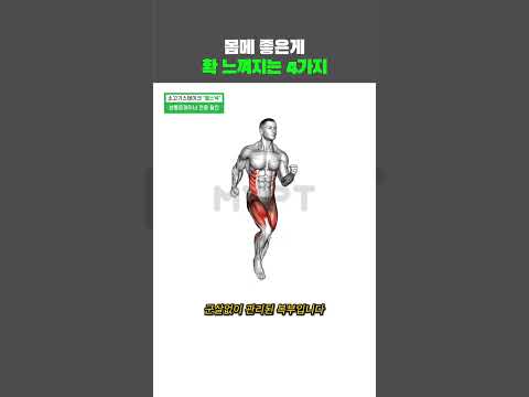 몸매 좋은거 확 티나는 4가지