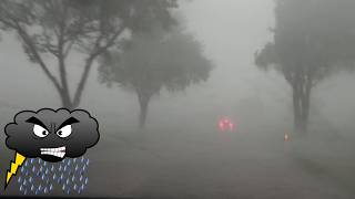 Kompletter Whiteout | Gewitter mit Downburst bei Nördlingen (Bayern) | 31. Mai 2026