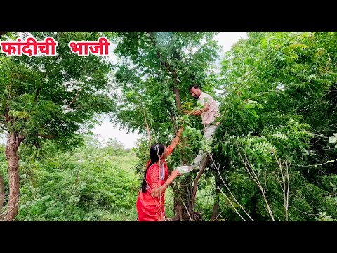 मिरचीचा ठेचा व फांदीच्या भाजीचे थालीपीठ