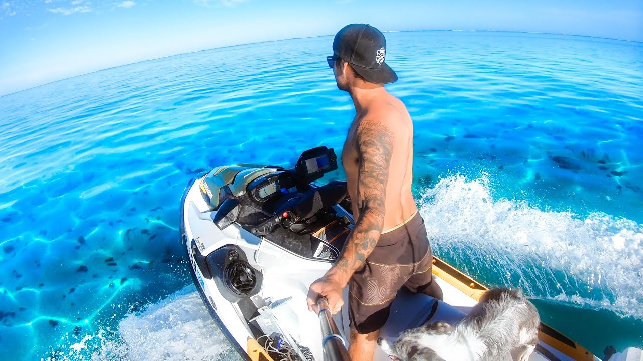 BEST REMOTE CAMPING TRIP EVER Living From The Ocean (Whale Carcass And Giant Sharks) - Ep 87