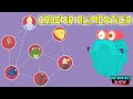 Ecosystem Roles and Food Chains