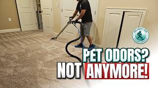 Basement Carpet Cleaning - Pet Stain & Odor Removal | Fanwood, NJ