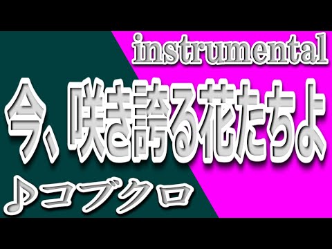 今、咲き誇る花たちよ/コブクロ/instrumental/歌詞/IMA SAKIHOKORU HANATACHIYO/Kobukuro