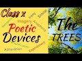 Poetic Devices in 'The Trees' by Adrienne Rich