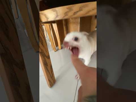 Niki know where to bite🤣