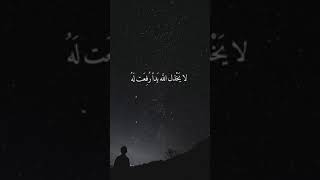 البعد عن الله... من أجمل الكلام الذي يعيدك الى الله بكل حب ♥️ الشيخ جاسم الحسناوي