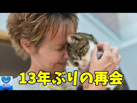 13年も行方不明だった猫が飼い主の元に帰ってきた！まさかの出来事に驚きを隠せない【感動】