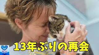 13年も行方不明だった猫が飼い主の元に帰ってきた！まさかの出来事に驚きを隠せない【感動】