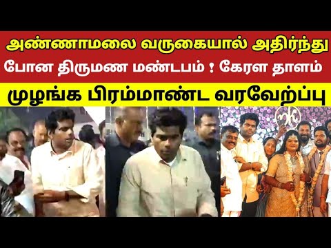 அண்ணாமலை வருகையால் அதிர்ந்துபோன திருமண மண்டபம் ! கேரள தாளம் முழுங்க பிரம்மாண்ட வரவேற்ப்பு