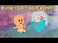 Exploring the World of the Tongue