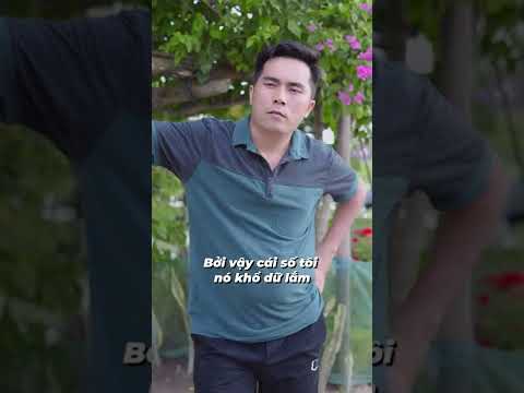 Gậy ông đập lưng ông...#shorts