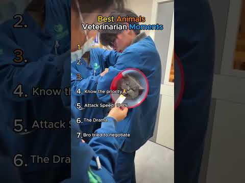 Best Animals Veterinarian Moments.. Try not to laugh pt. 2😂