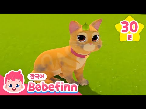 [BEST]💛귀여운 고양이 부 스페셜🐱 | 아야! 부가 다쳤어요!💦 | 꼭꼭 숨어라 고양이 부 보인다! | 베베핀 Bebefinn - 키즈 인기 동요