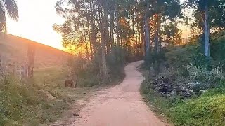 Olha esse visual gente. Que coisa mais linda