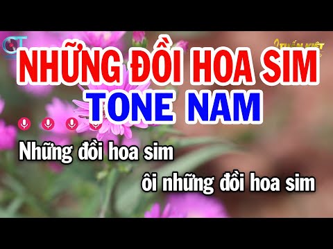 Karaoke Những Đồi Hoa Sim Tone Nam ( Dm ) Nhạc Sống Mới | Karaoke Tuấn Kiệt