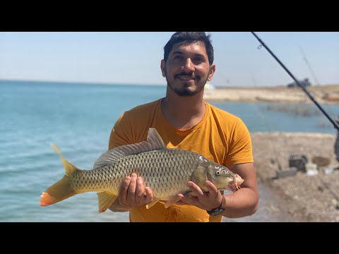 بحيرة حمرين فلوك صيد سمك بالسنارة كبار  حلقة نار 🔥 |كاسكو الصياد