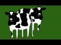 Farm Animal Count and Identification