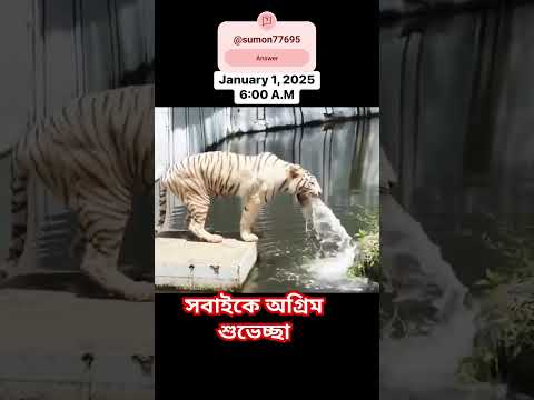 অগ্রিম দাওয়াত দিয়ে গেলাম #fishing #shortvideo #song #subscribe #shorts