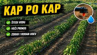 Kako postaviti sistem kap po kap za celu bastu
