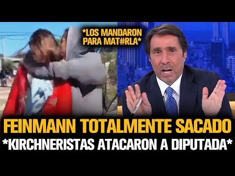 FEINMANN TOTALMEMTE SACADO POR KIRCHNERISTAS QUE ATACARON A UNA DIPUTADA