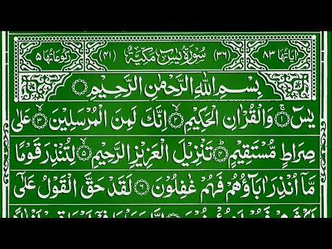 Surah Yaseen Surah Rahman | Best Qur'an Recitation | Surah Yaseen Tilawat | Surah Yasin full