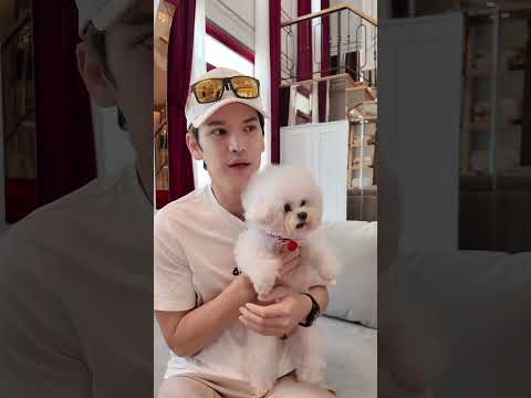 อมฮอลล์ใจเย็น TAO_STP อมฮอลล์ใจเย็น