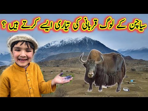 “How We Prepare for Eid ul Adha in Siachen Village | Beautiful Mountain Village life in Pakistan 🇵🇰
