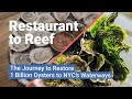 Oyster Ecosystem and Conservation Insights