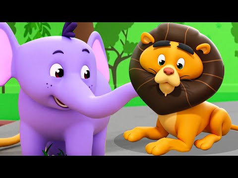 Zoo Song, Learn Animals & Song for Toddlers