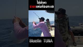 ล่าบลูฟินทูน่า !! เรือพังกลางทะเลสเปน