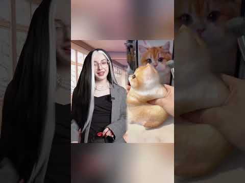 тгк: завидные котики