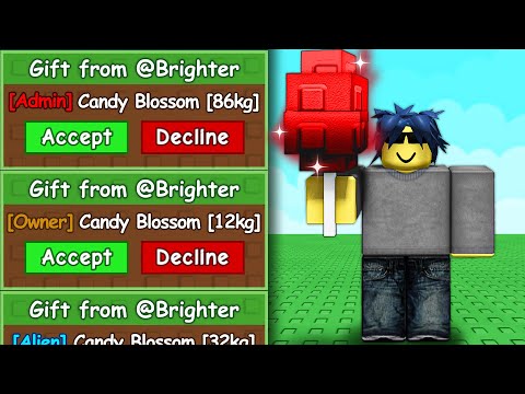 Begging Until I Get ADMIN Candy Blossom
