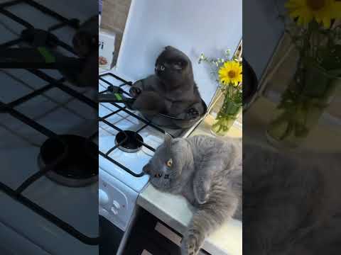 Вот как им объяснить что так нельзя!? Или оставить все как есть?