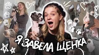Я ЗАВЕЛА СОБАКУ! (я мечтала об этом всю жизнь)
