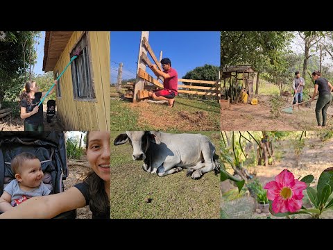 Eu e marido na lida/nossa casinha de madeira/faxina no quintal, levei as janelas/manhã e tarde.