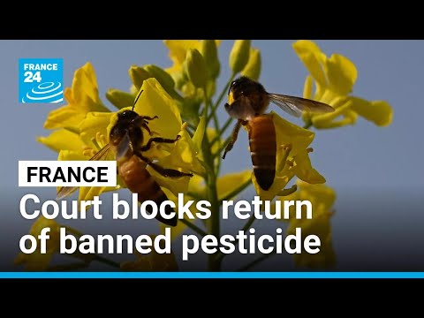 YouTube video thumbnail: French Court Blocks Return of Banned Pesticide