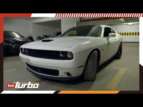 Bity Dodge Challenger wpadł w oko klientowi 😎 | Zawodowi handlarze