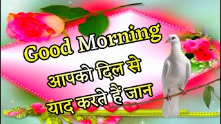Good Morning Shayari 🌹 | Love Shayari | Pyar Mohabbat Shayari