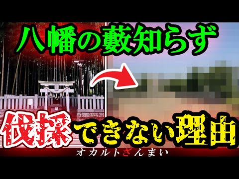 【謎】[禁足地]『八幡の藪知らず』を伐採できない本当の理由とは…日本最恐の立ち入り禁止区域で起こる大惨事を考察【ゆっくり解説】