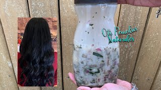 Combate la Caída del Cabello con este Maravilloso Shampoo 😍