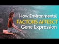 Gene Expression and Regulation Concepts