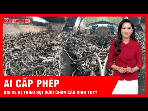 Vụ cháy bãi xe dưới chân cầu Vĩnh Tuy, đơn vị cấp phép có trách nhiệm gì? | Tin tức