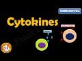 Cytokines and Immune System Functions