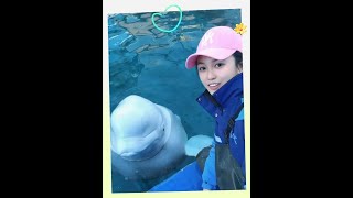 下班#白鲸