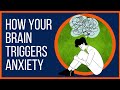 Managing Anxiety Through Brain Functions