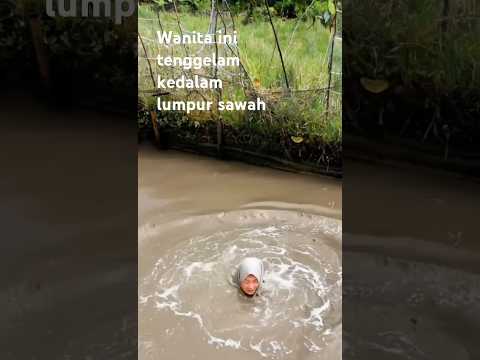 Lumpur hidup di sawah #music #travel #love #banjir #lumpur